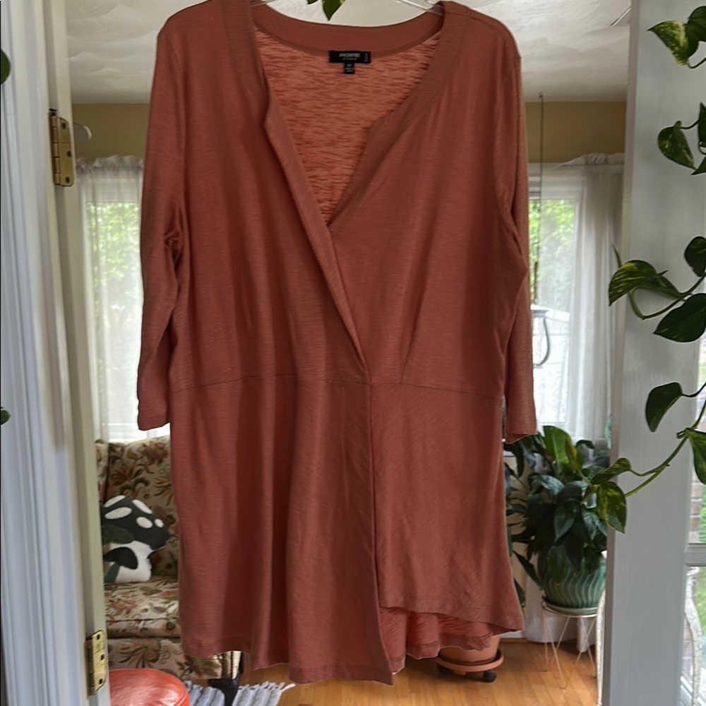 Eileen Fisher Rust Tunic Top